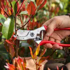 Felco 4 Pruning Shears with Free Size 9 Gloves